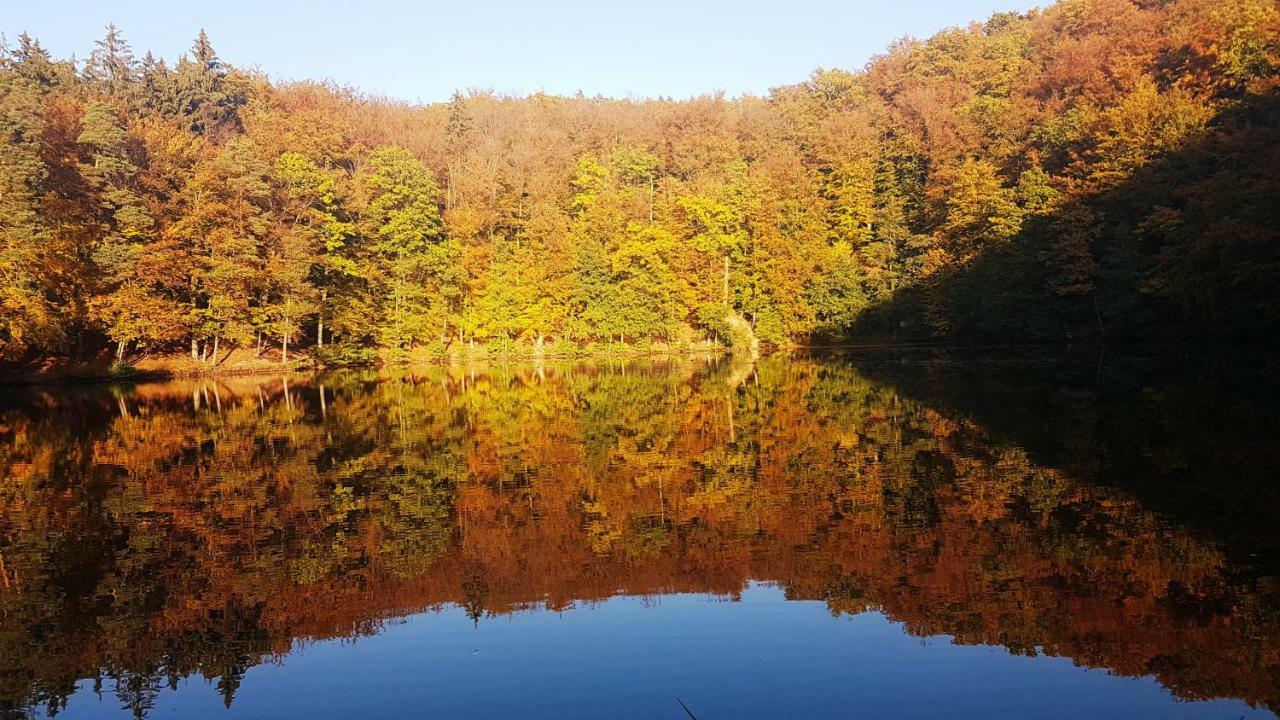 Urnshausen Ferienhaus Direkt Am Badesee Bungalow 11 Schonsee المظهر الخارجي الصورة